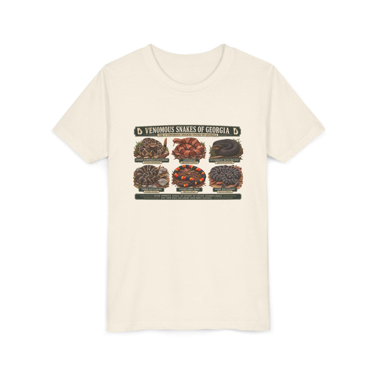 Youth Tee — Venomous Snakes of Georgia Educational Graphic