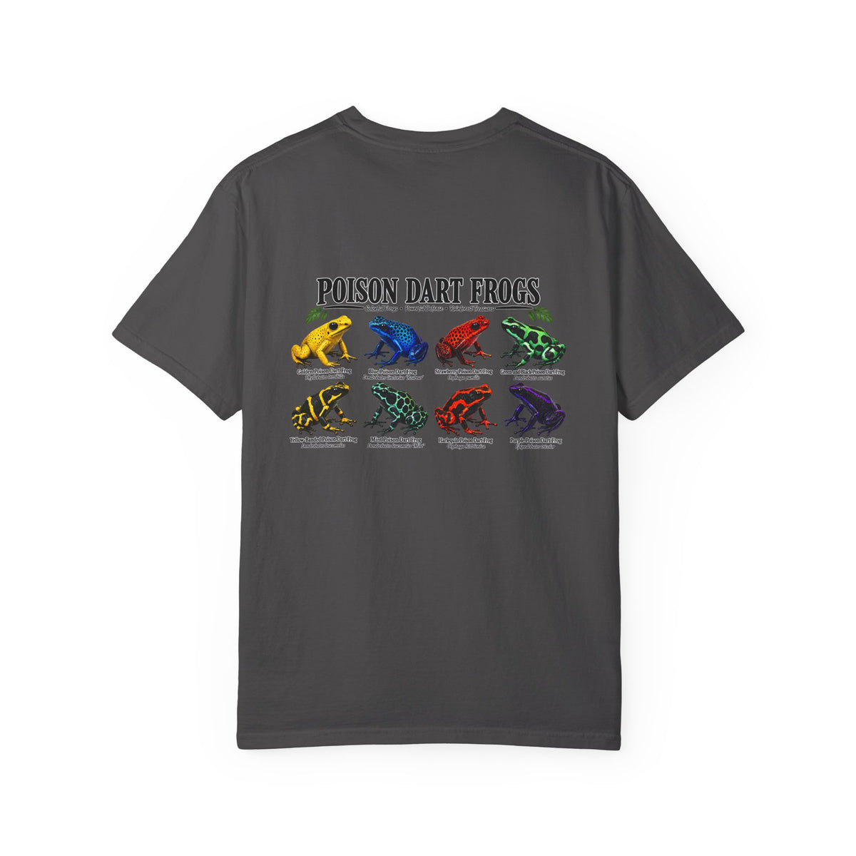 Poison Dart Frogs T-shirt | Colorful Frog Illustration, Amphibian Species Chart