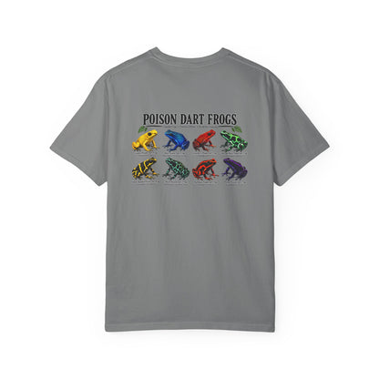 Poison Dart Frogs T-shirt | Colorful Frog Illustration, Amphibian Species Chart