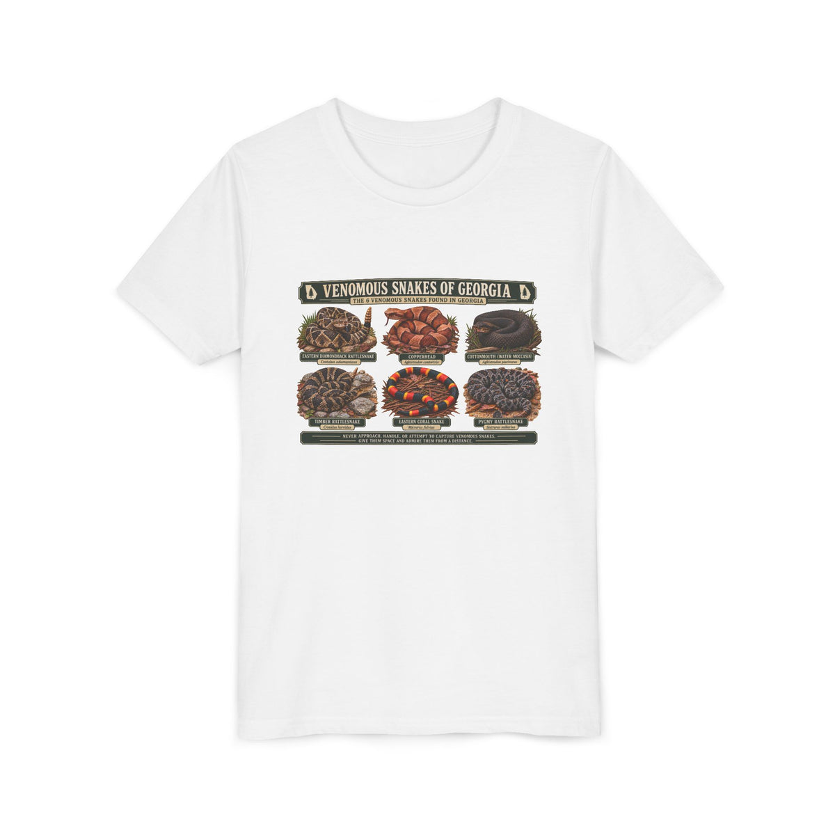 Youth Tee — Venomous Snakes of Georgia Educational Graphic