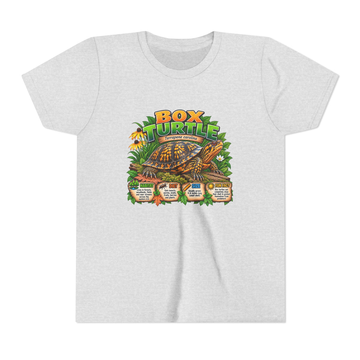 Box Turtle Youth Tee — Cute Educational Turtle Shirt for Kids
