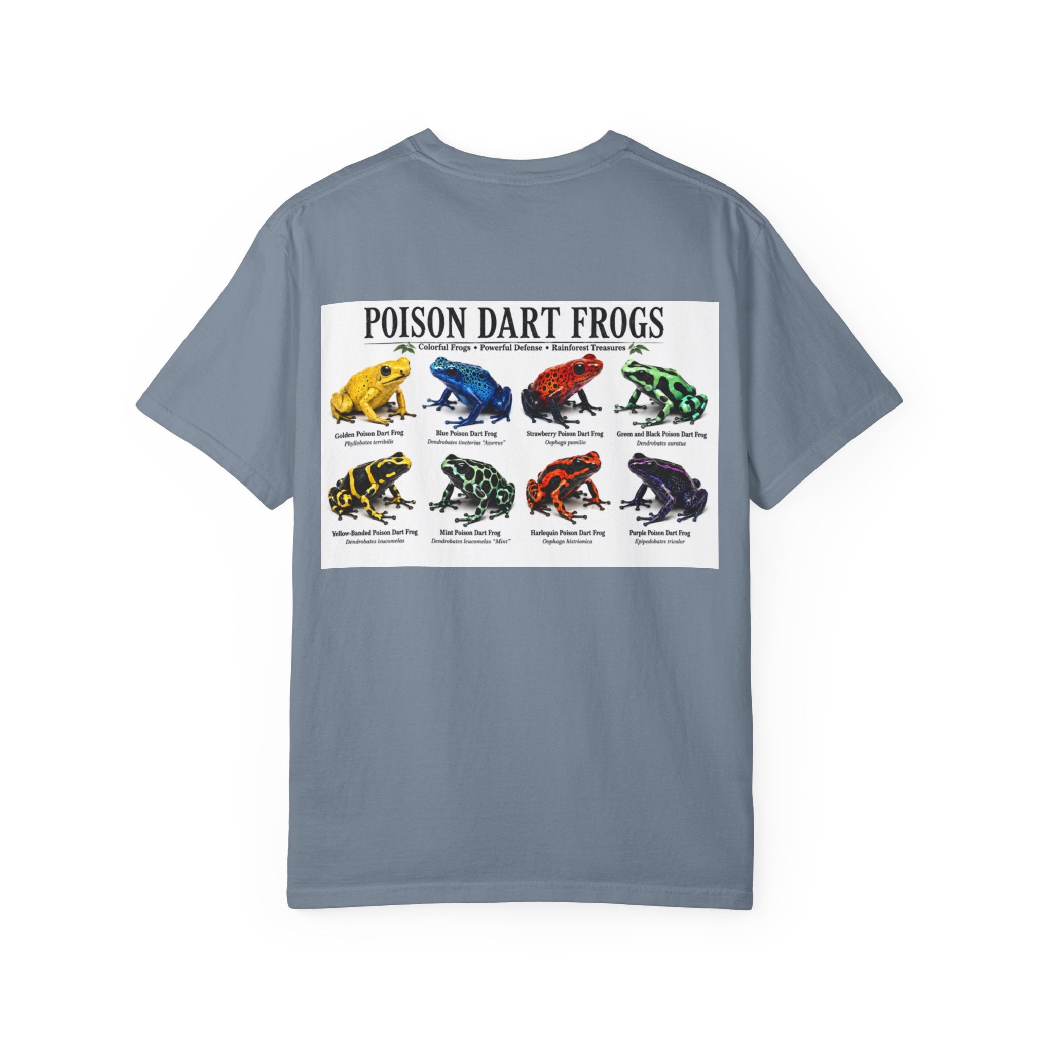 Poison Dart Frogs T-shirt | Colorful Frog Illustration, Amphibian Species Chart