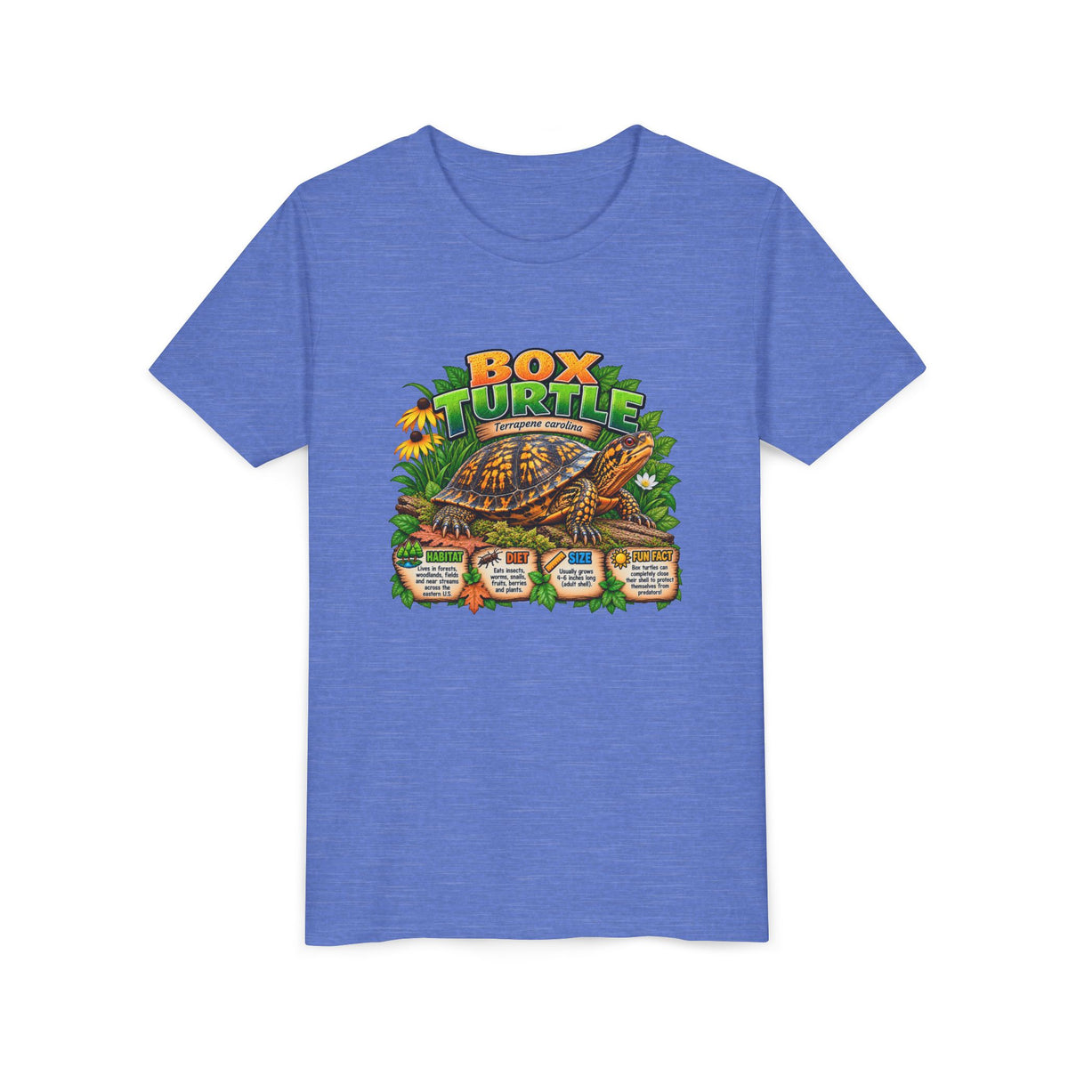 Box Turtle Youth Tee — Cute Educational Turtle Shirt for Kids