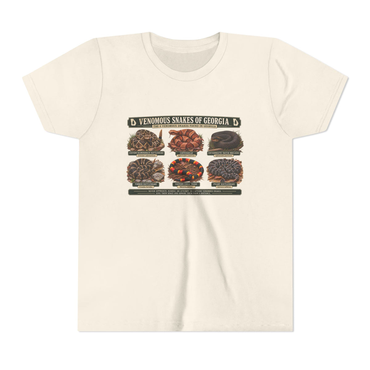 Youth Tee — Venomous Snakes of Georgia Educational Graphic
