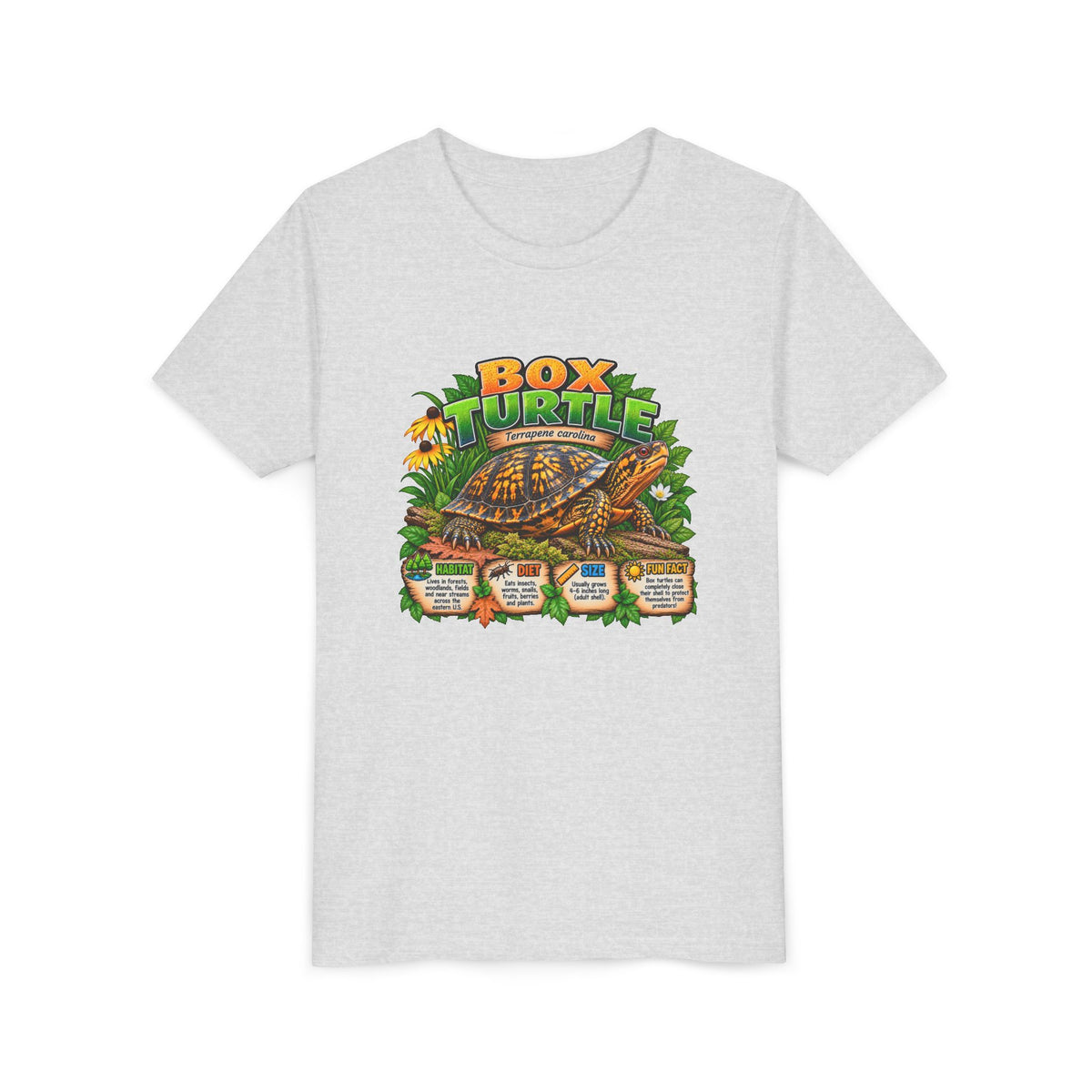 Box Turtle Youth Tee — Cute Educational Turtle Shirt for Kids
