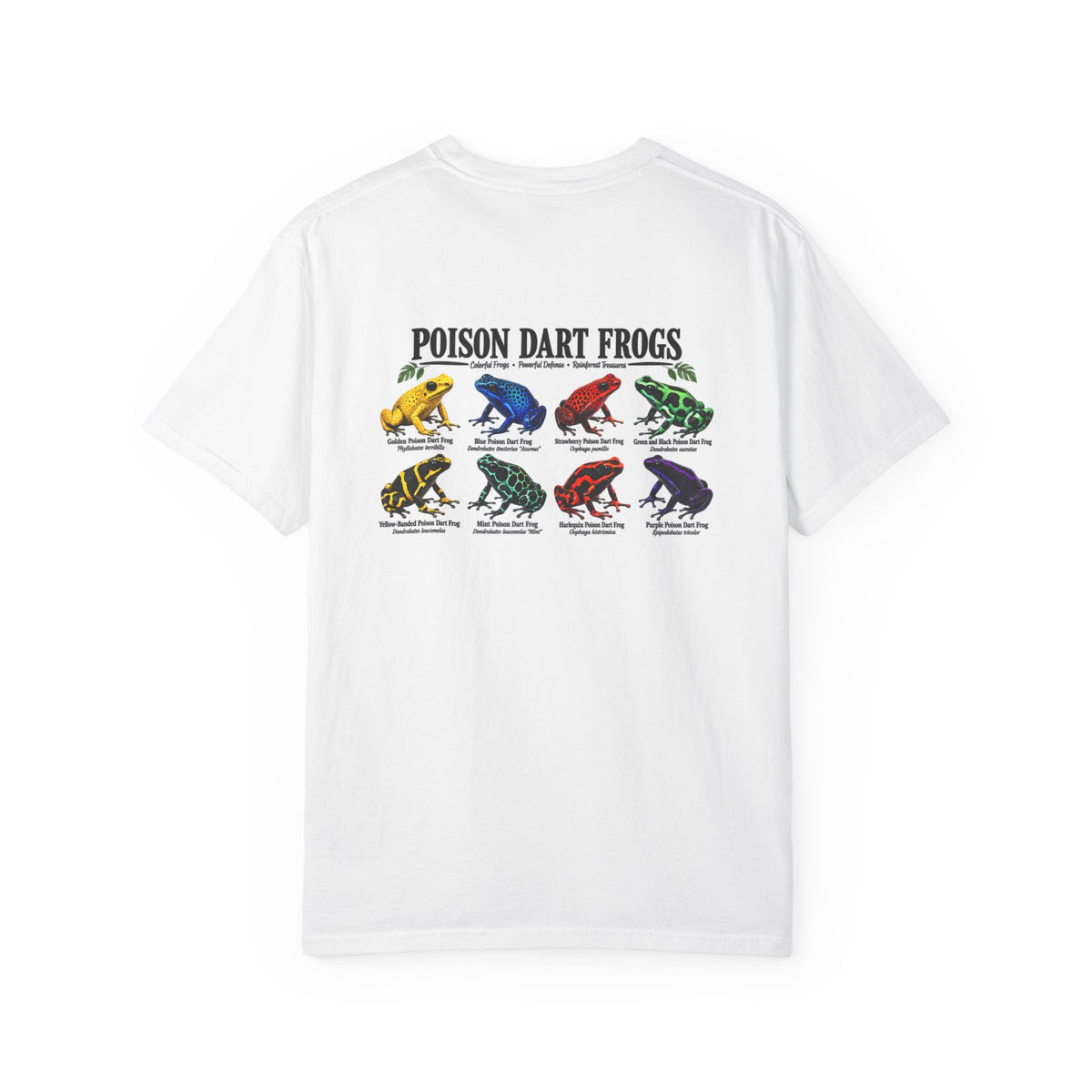 Poison Dart Frogs T-shirt | Colorful Frog Illustration, Amphibian Species Chart