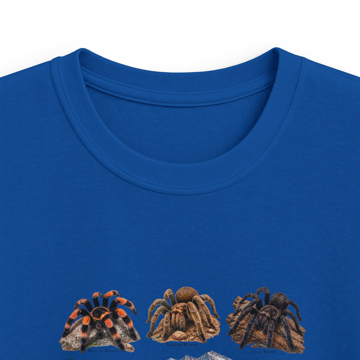 Kids Tee — 'Tarantulas of North America' Illustrated Spider Guide