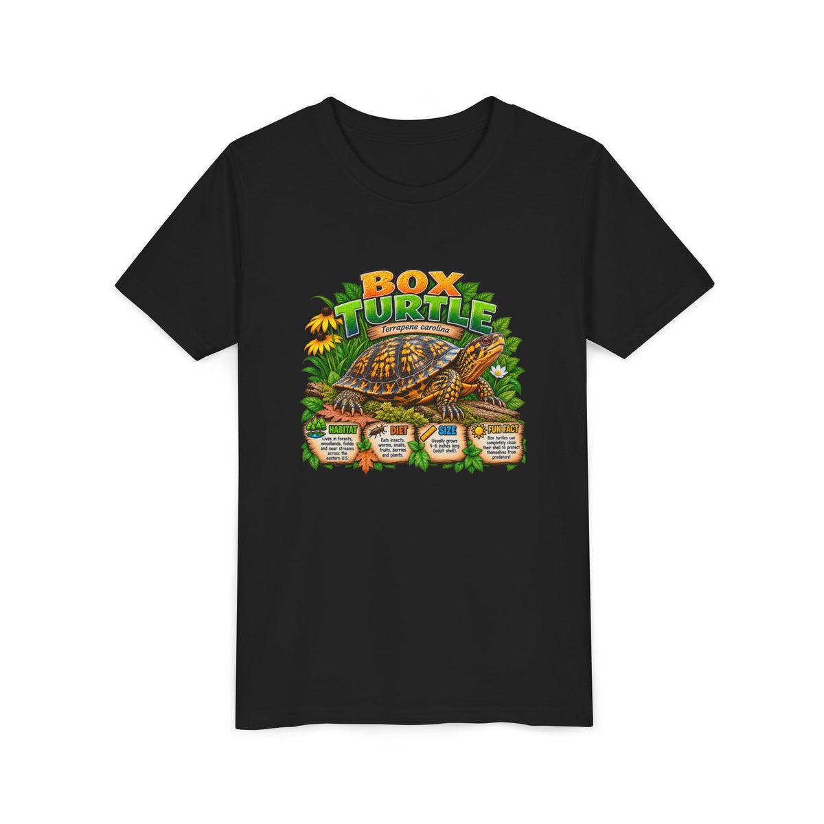 Box Turtle Youth Tee — Cute Educational Turtle Shirt for Kids