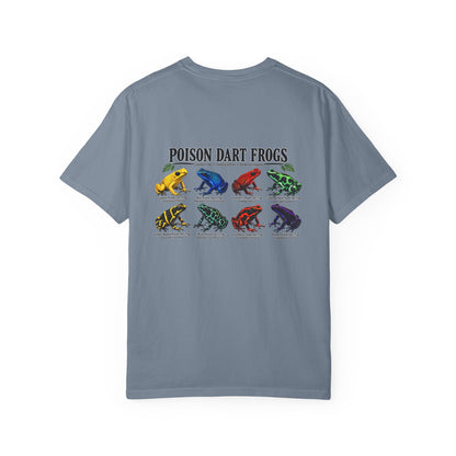 Poison Dart Frogs T-shirt | Colorful Frog Illustration, Amphibian Species Chart