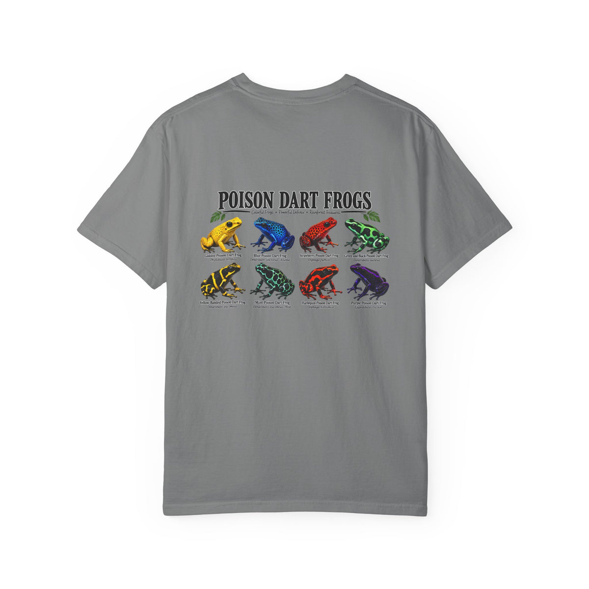 Poison Dart Frogs T-shirt | Colorful Frog Illustration, Amphibian Species Chart