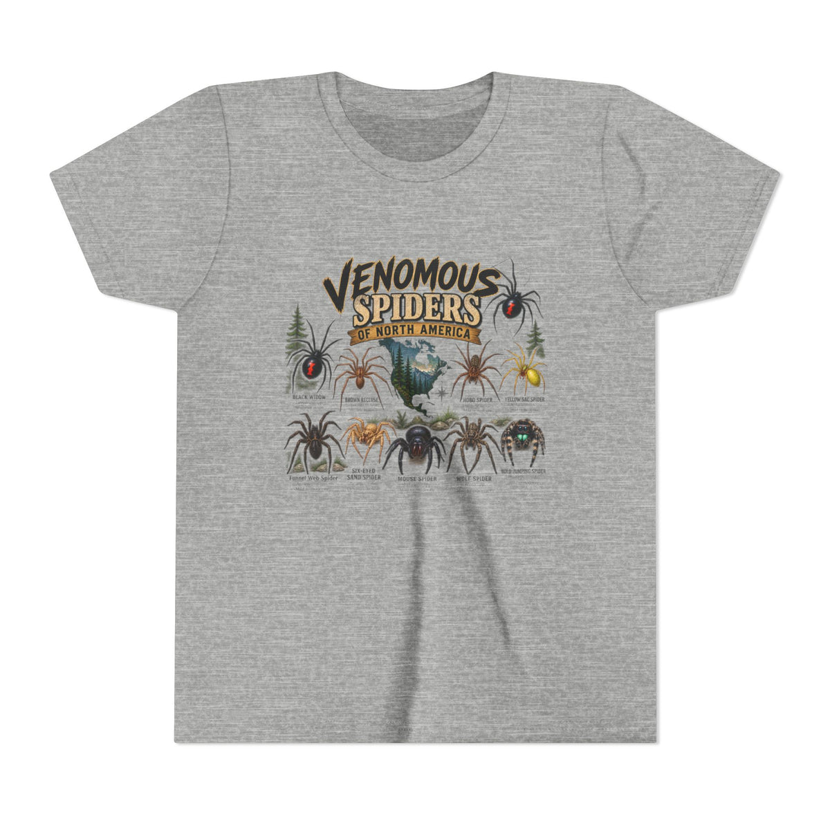 Youth Tee — "Venomous Spiders of North America" Educational Spider Illustration