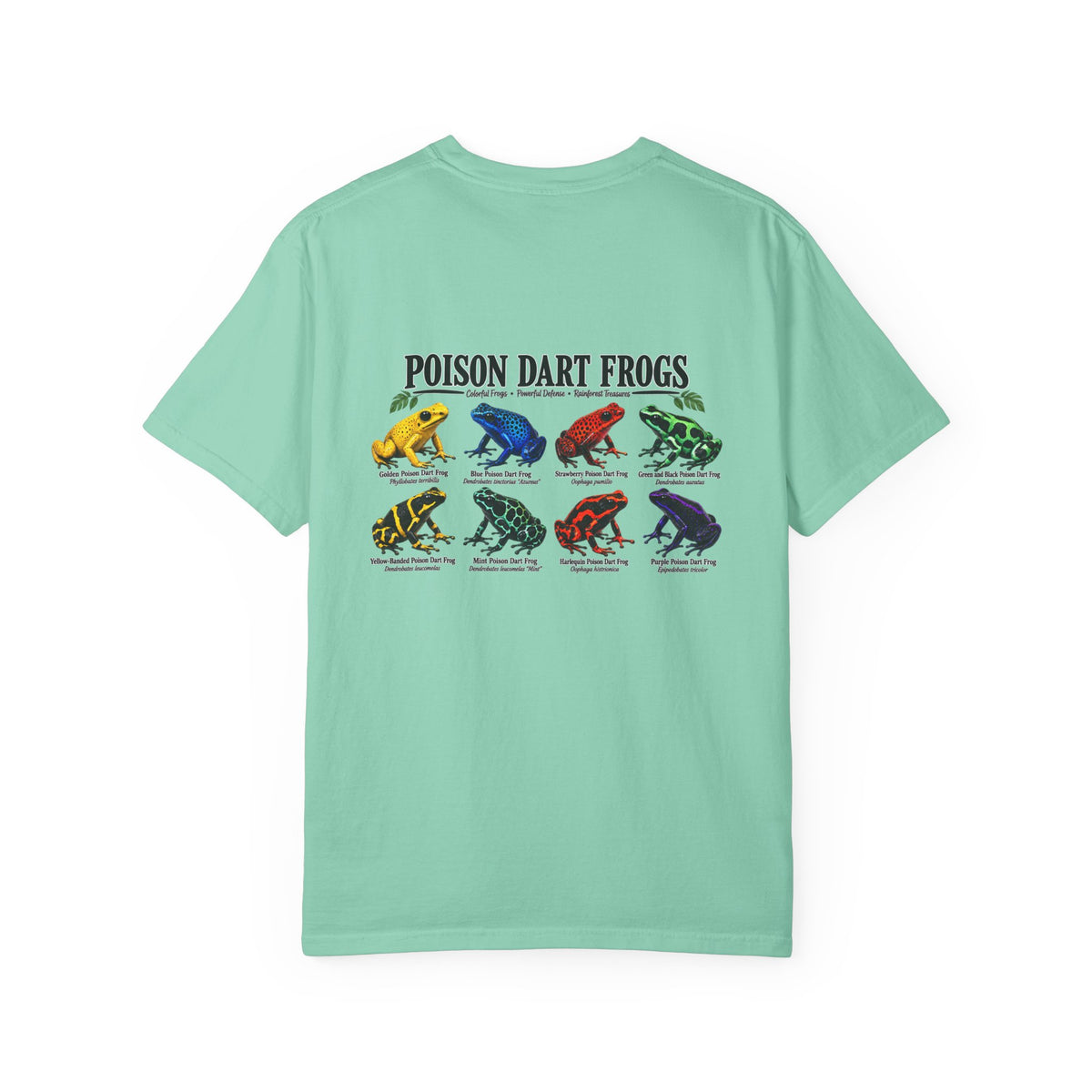 Poison Dart Frogs T-shirt | Colorful Frog Illustration, Amphibian Species Chart