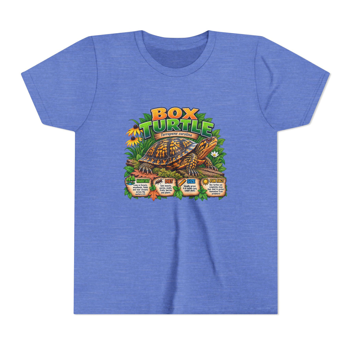 Box Turtle Youth Tee — Cute Educational Turtle Shirt for Kids