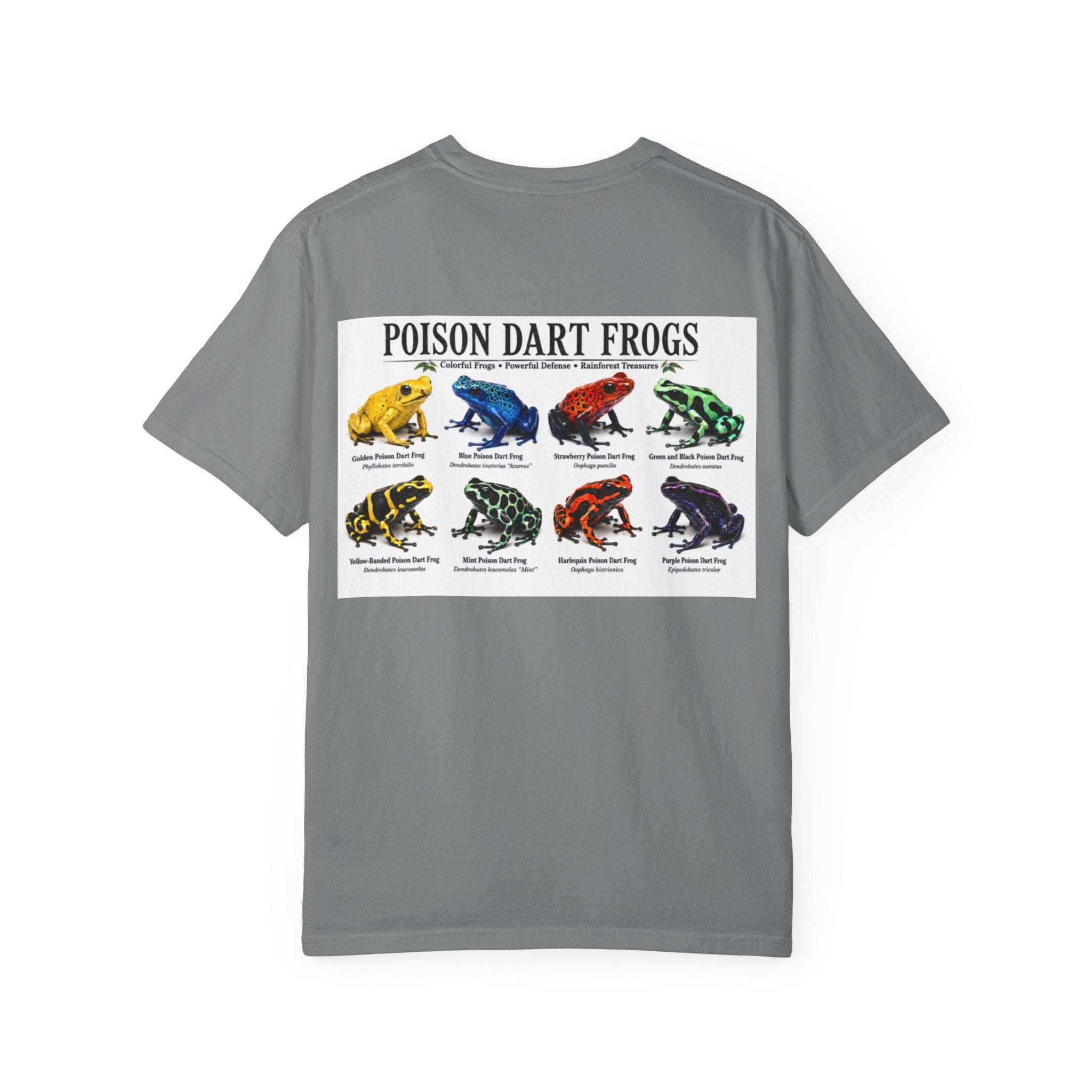 Poison Dart Frogs T-shirt | Colorful Frog Illustration, Amphibian Species Chart