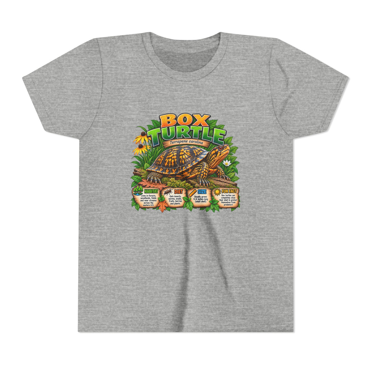 Box Turtle Youth Tee — Cute Educational Turtle Shirt for Kids