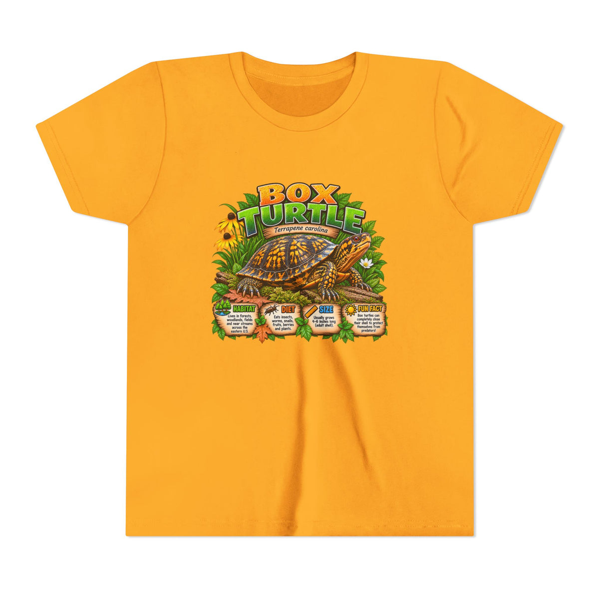 Box Turtle Youth Tee — Cute Educational Turtle Shirt for Kids