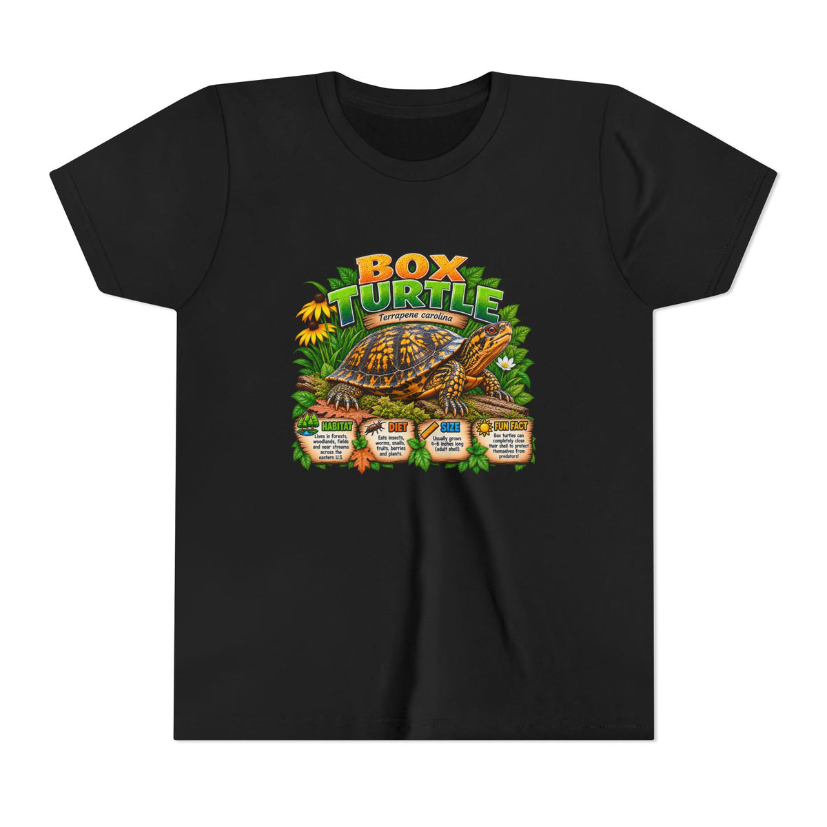 Box Turtle Youth Tee — Cute Educational Turtle Shirt for Kids