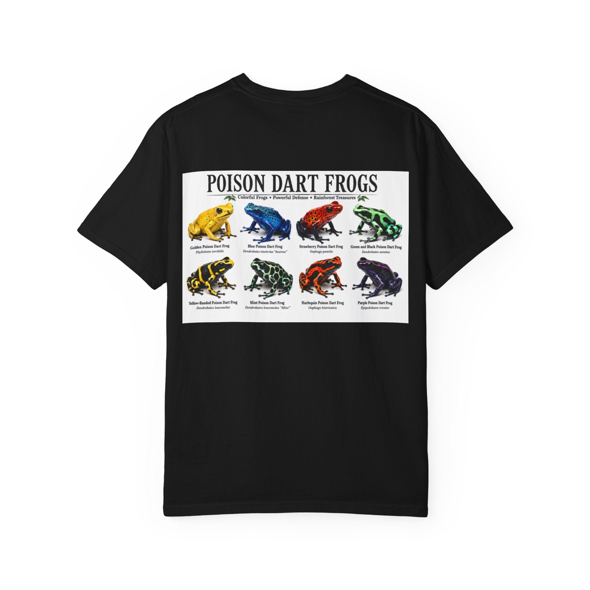 Poison Dart Frogs T-shirt | Colorful Frog Illustration, Amphibian Species Chart