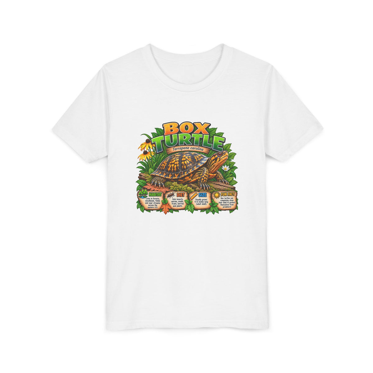 Box Turtle Youth Tee — Cute Educational Turtle Shirt for Kids