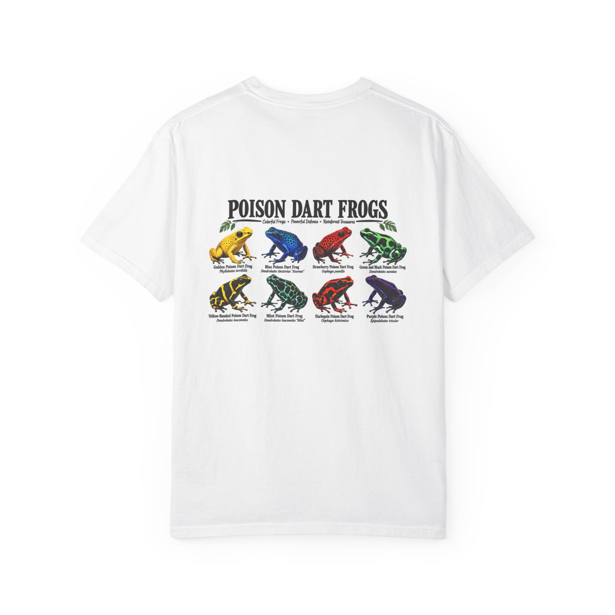Poison Dart Frogs T-shirt | Colorful Frog Illustration, Amphibian Species Chart