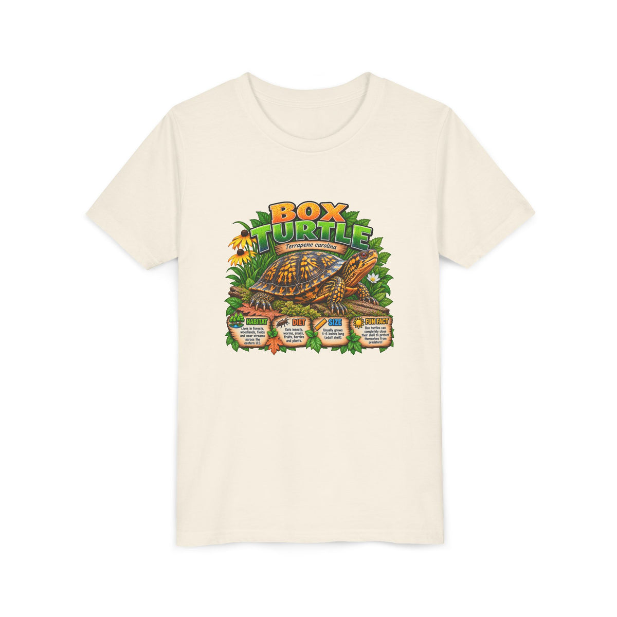 Box Turtle Youth Tee — Cute Educational Turtle Shirt for Kids