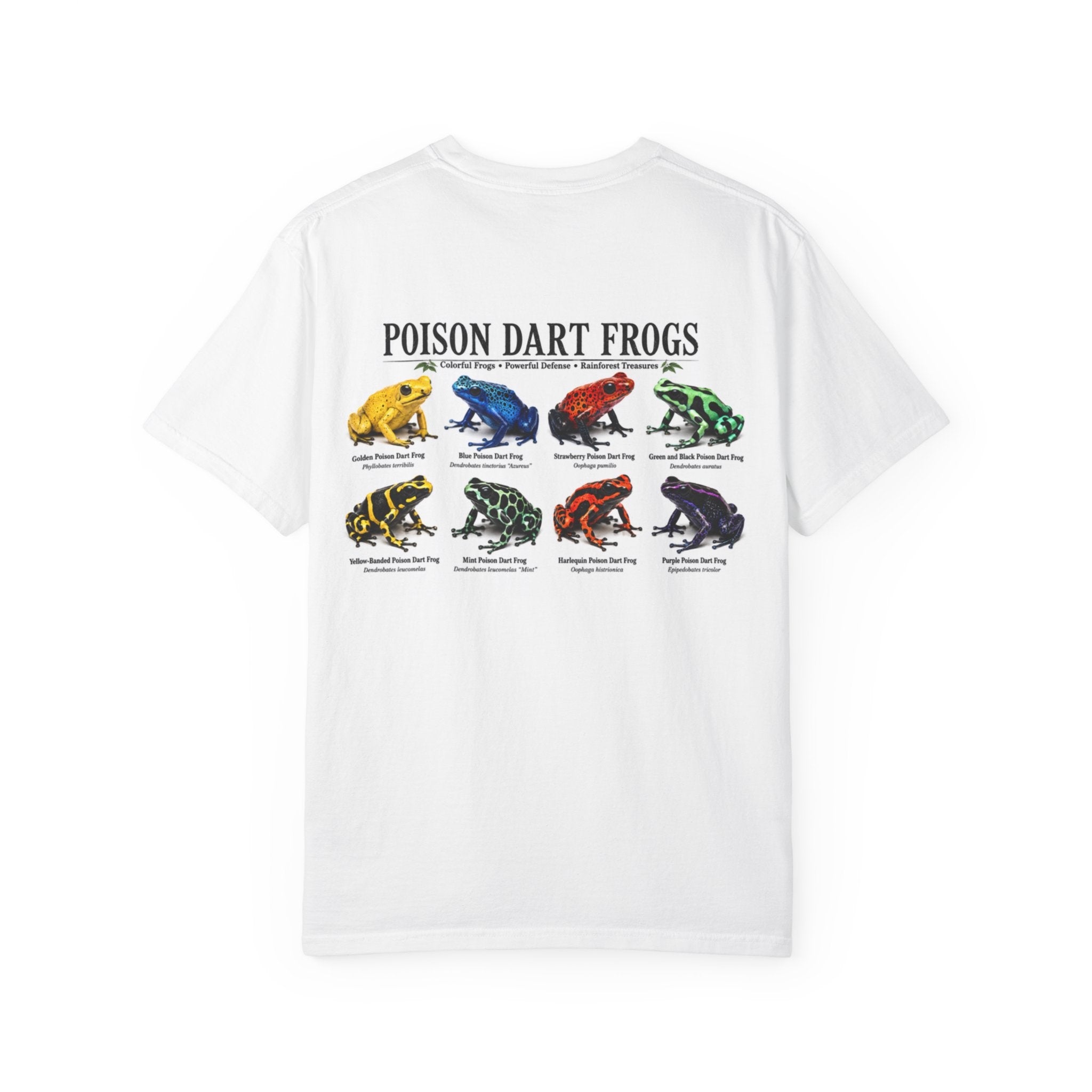 Poison Dart Frogs T-shirt | Colorful Frog Illustration, Amphibian Species Chart