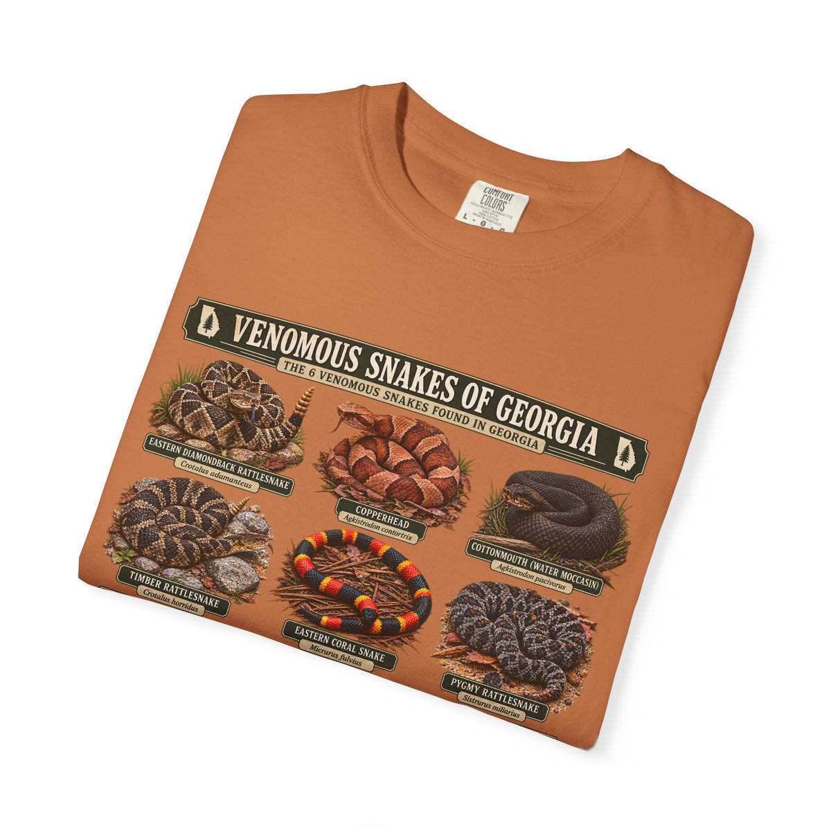 Venomous Snakes of Georgia T-shirt | Snake Identification Chart