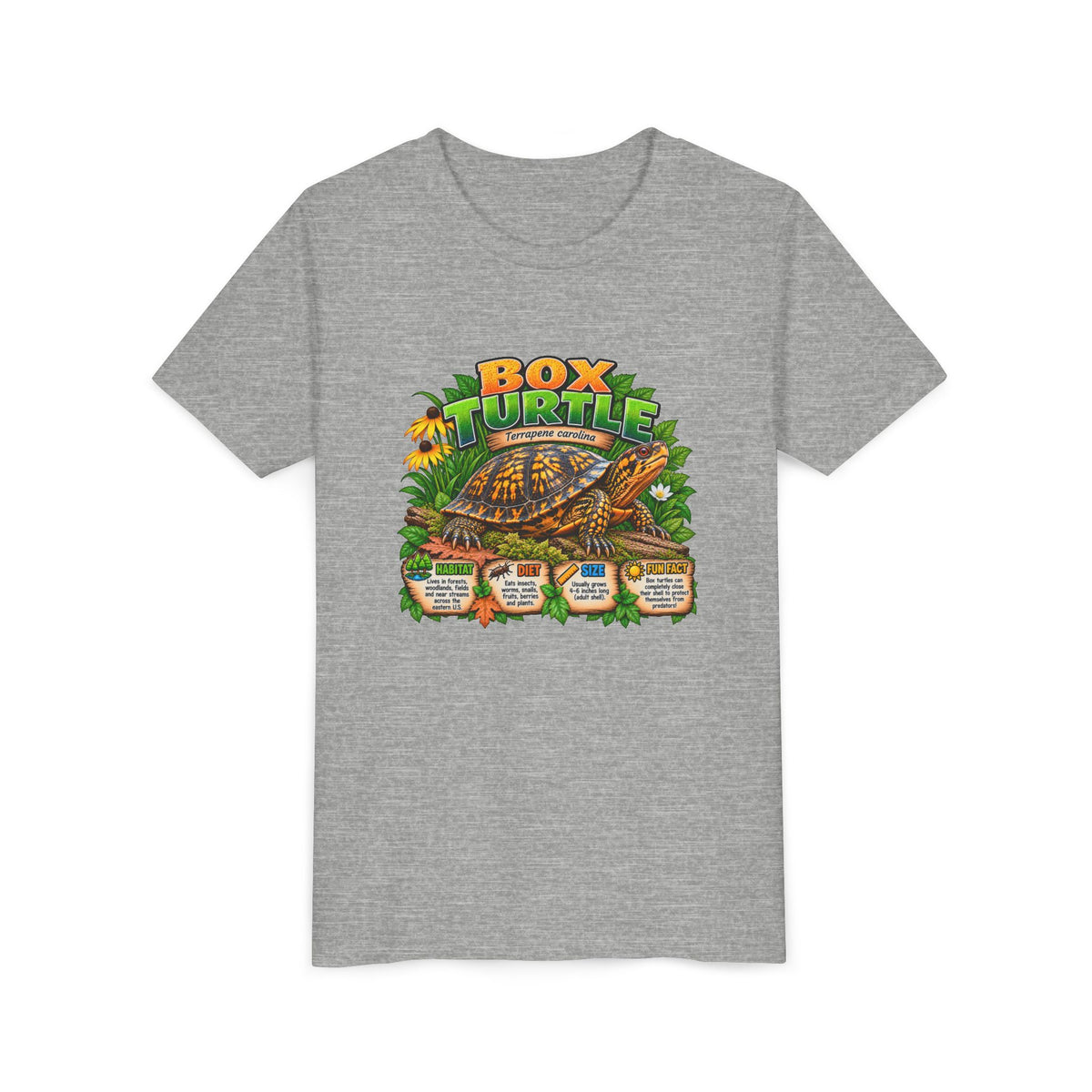 Box Turtle Youth Tee — Cute Educational Turtle Shirt for Kids