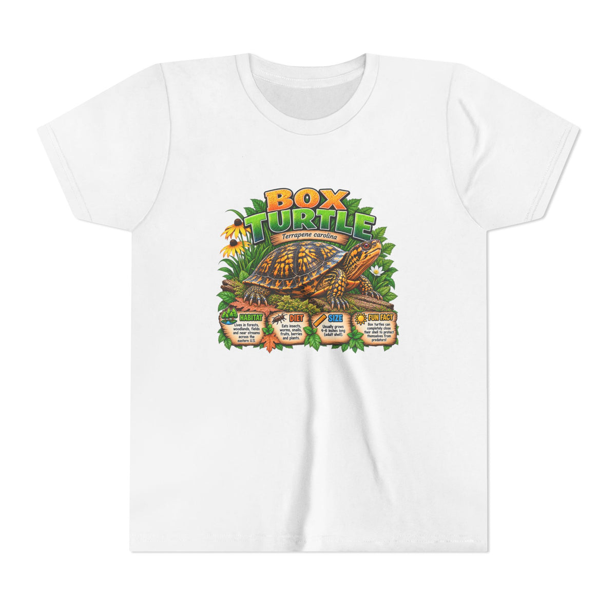 Box Turtle Youth Tee — Cute Educational Turtle Shirt for Kids