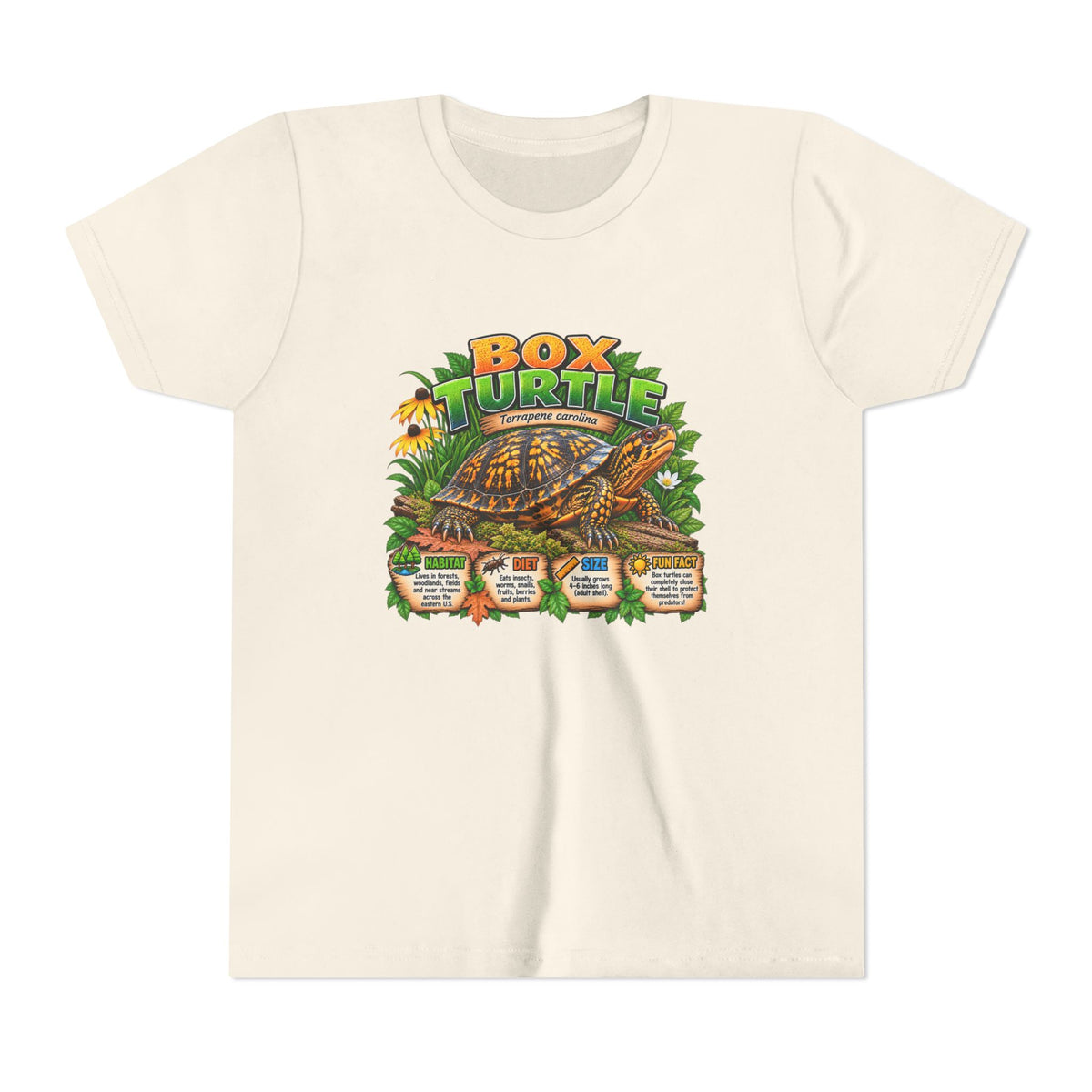 Box Turtle Youth Tee — Cute Educational Turtle Shirt for Kids