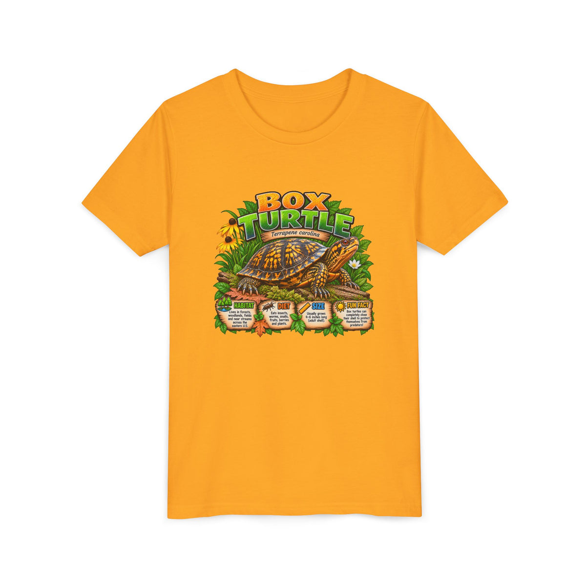 Box Turtle Youth Tee — Cute Educational Turtle Shirt for Kids