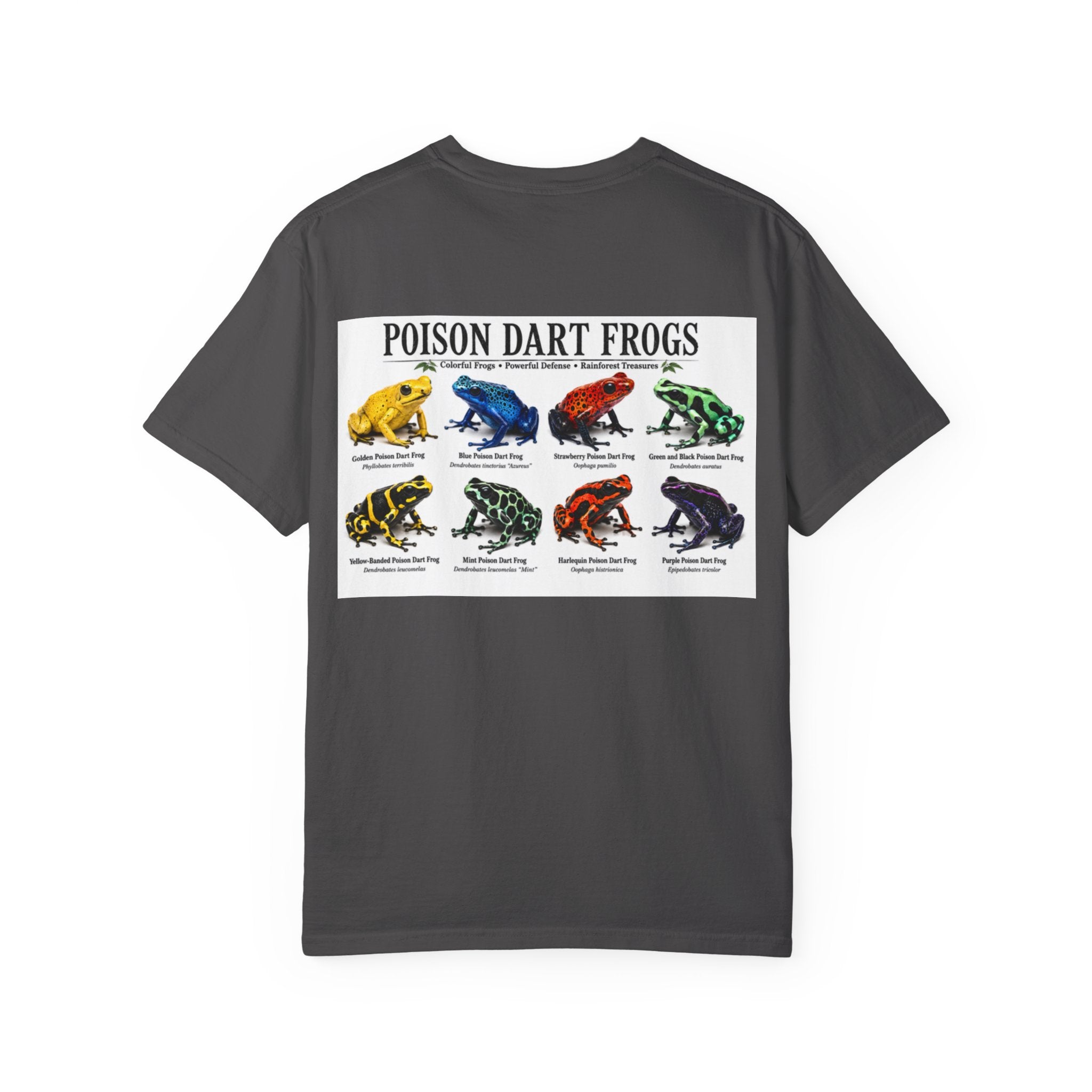 Poison Dart Frogs T-shirt | Colorful Frog Illustration, Amphibian Species Chart