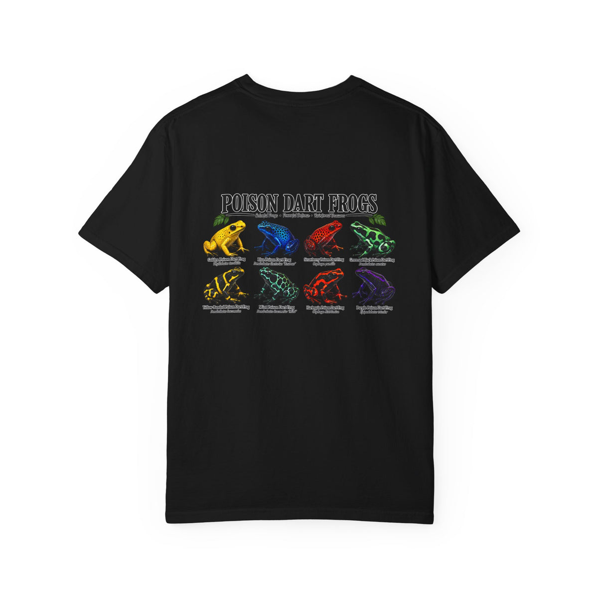 Poison Dart Frogs T-shirt | Colorful Frog Illustration, Amphibian Species Chart