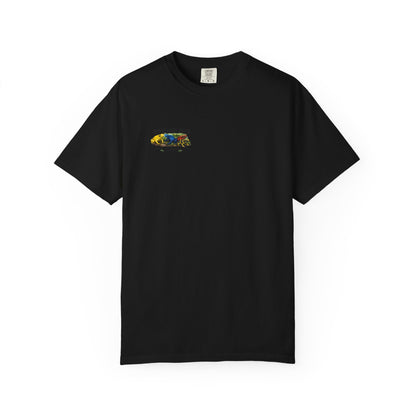 Poison Dart Frogs T-shirt | Colorful Frog Illustration, Amphibian Species Chart
