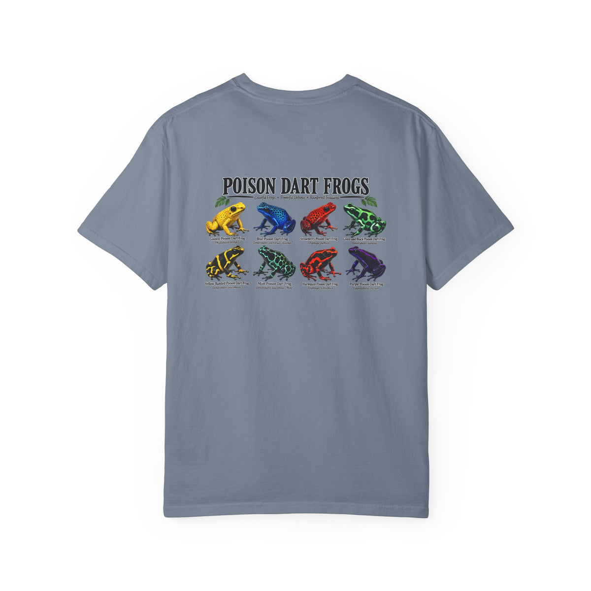 Poison Dart Frogs T-shirt | Colorful Frog Illustration, Amphibian Species Chart