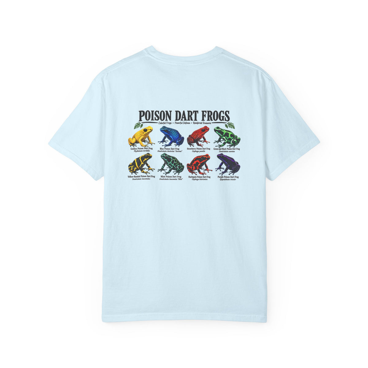 Poison Dart Frogs T-shirt | Colorful Frog Illustration, Amphibian Species Chart